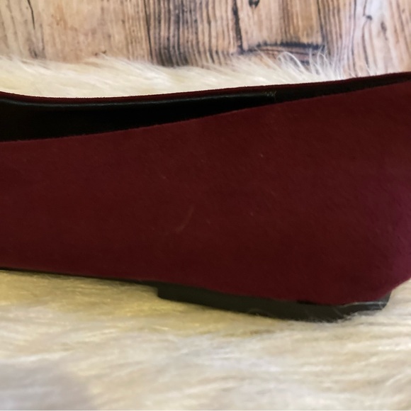 Torrid Flats - Picture 9 of 9